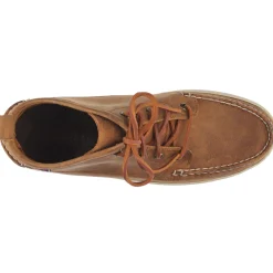 Brig CH - Brown Tan